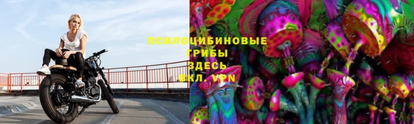соль ск Алексин