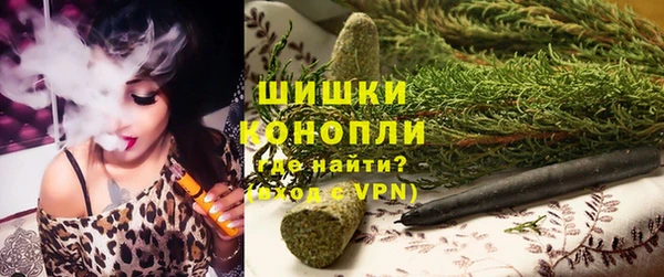 соль ск Алексин