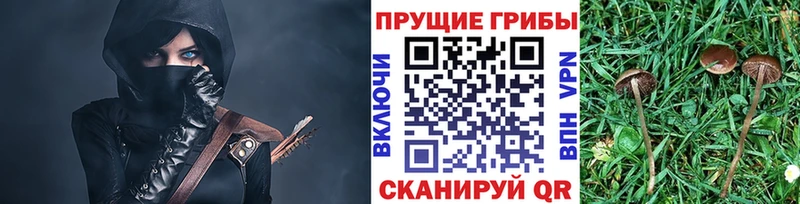 нарко площадка Telegram  даркнет сайт  блэк спрут онион  Яровое  Галлюциногенные грибы мицелий 